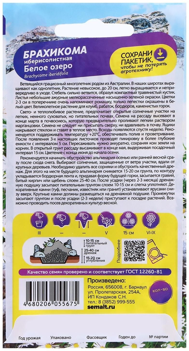 Семена Брахикома 