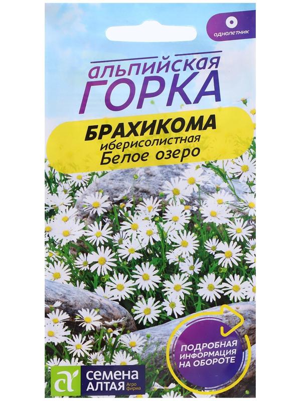 Семена Брахикома 