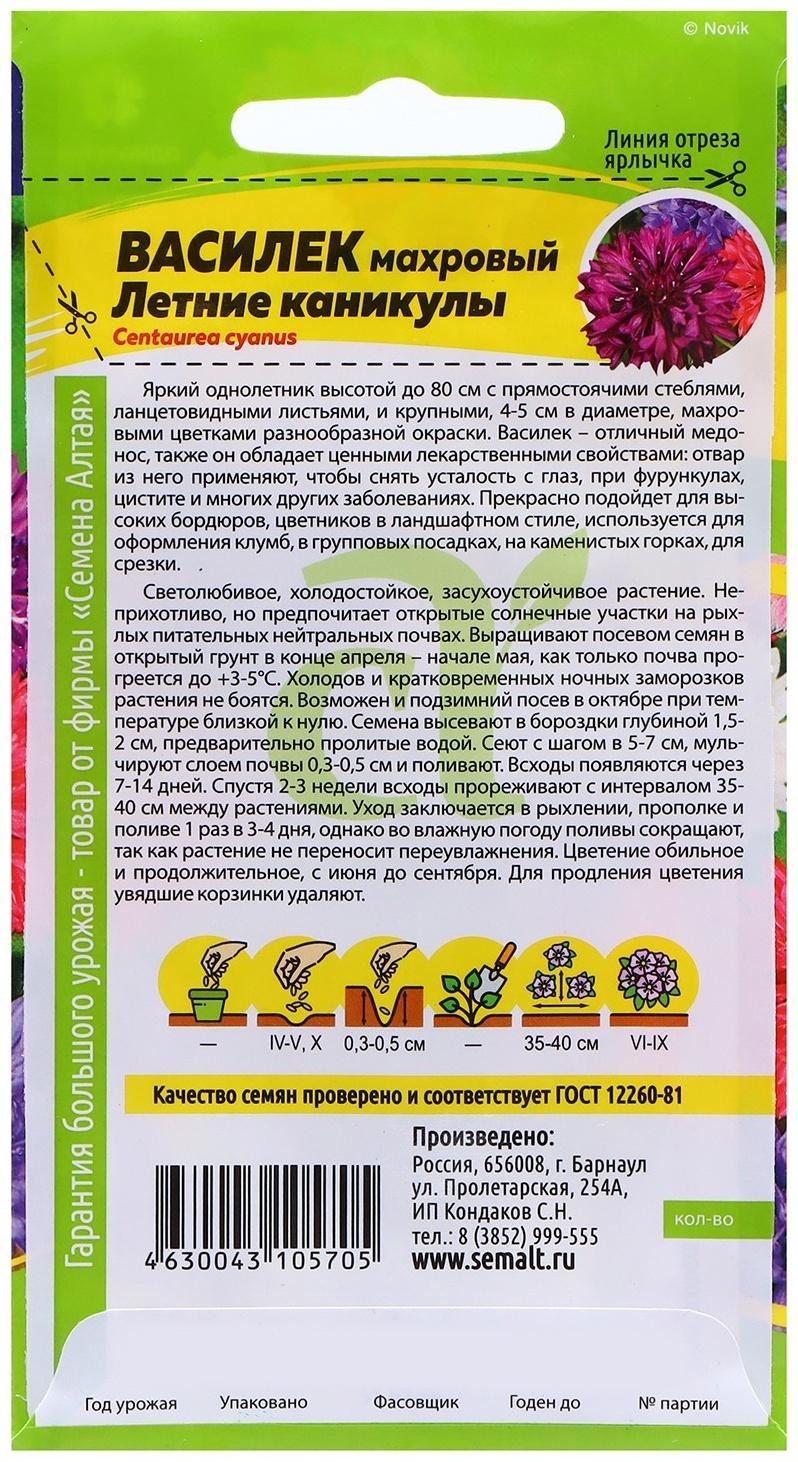 Семена Василек 