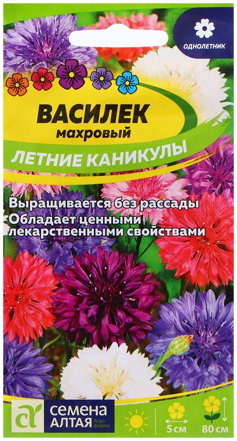 Семена Василек 