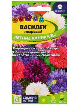 Семена Василек 