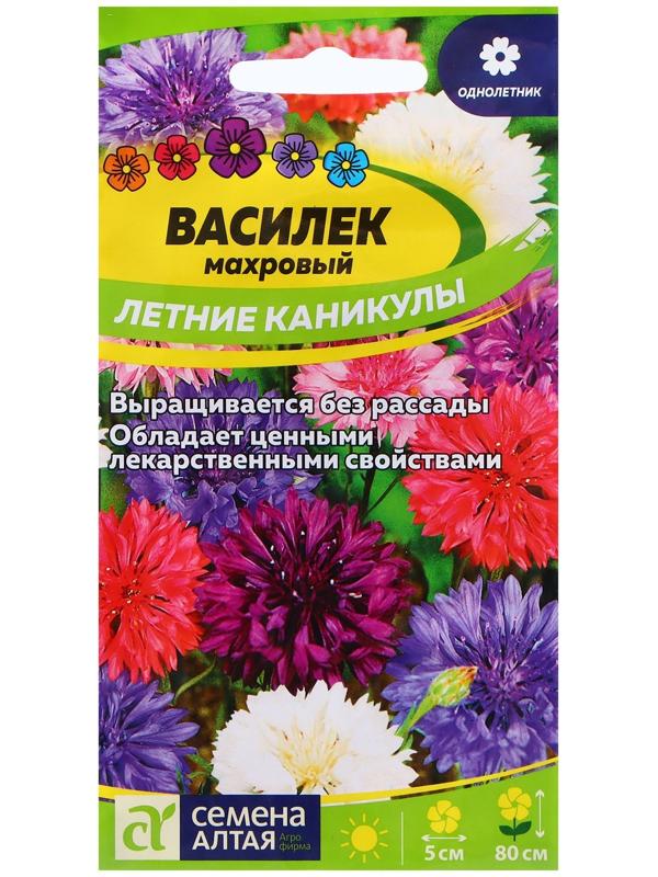 Семена Василек 