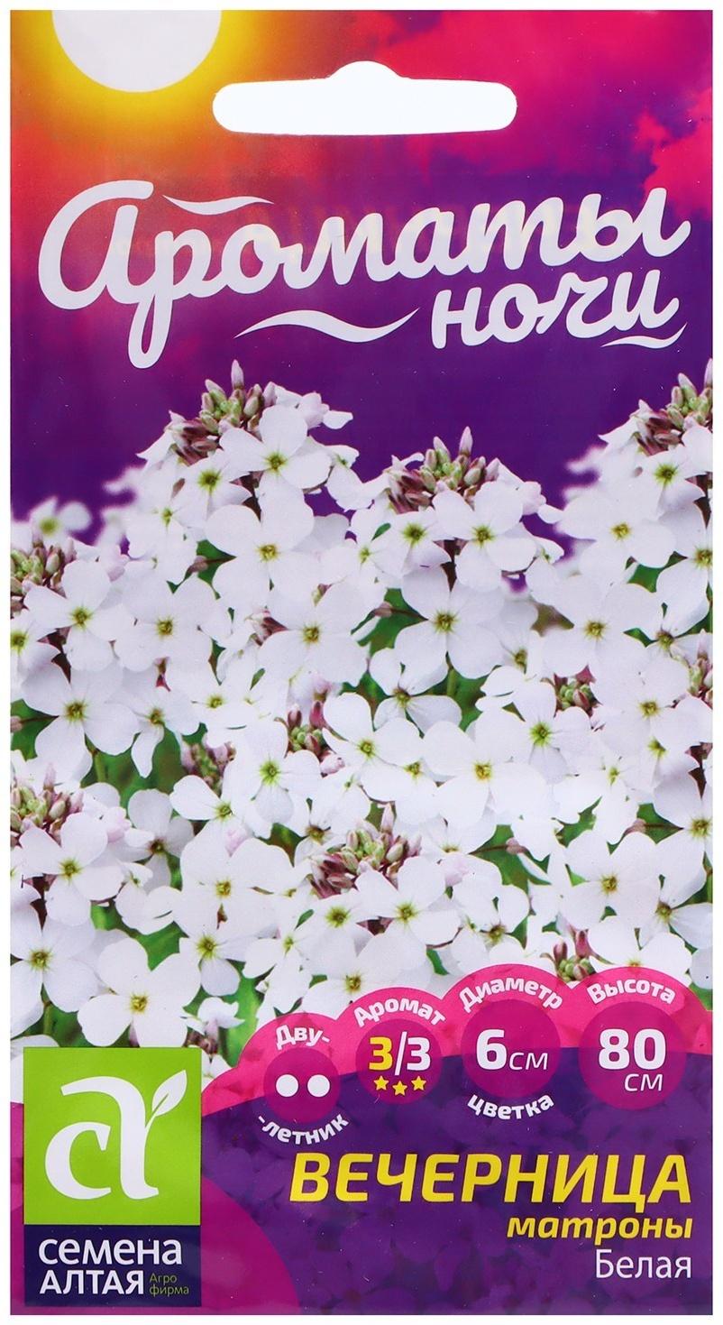 Семена Вечерница 