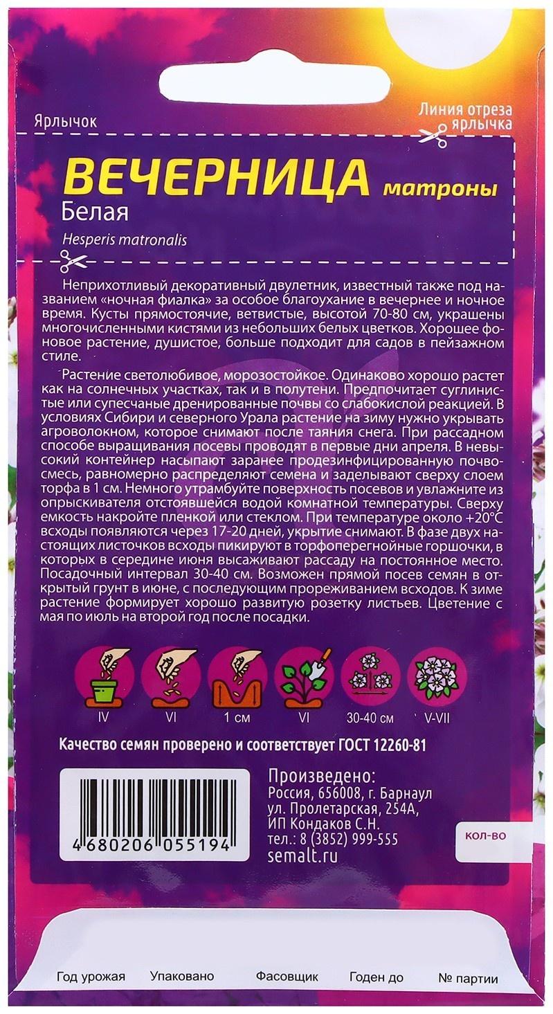 Семена Вечерница 