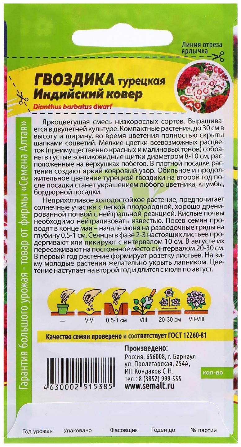 Семена Гвоздика 