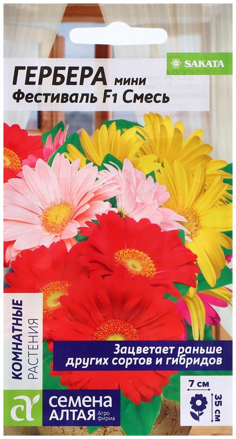 Семена Гербера мини 