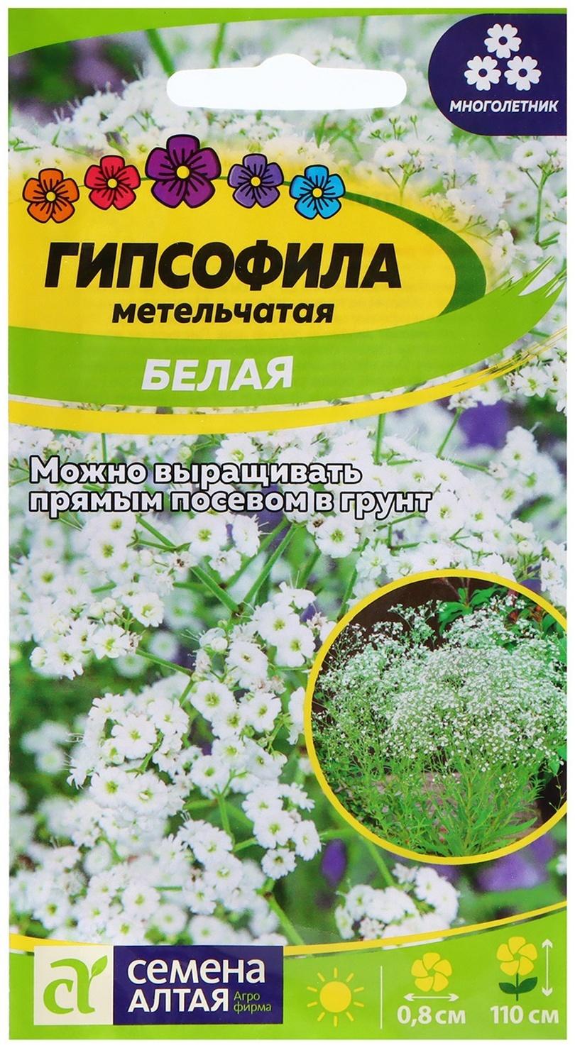 Семена Гипсофила 