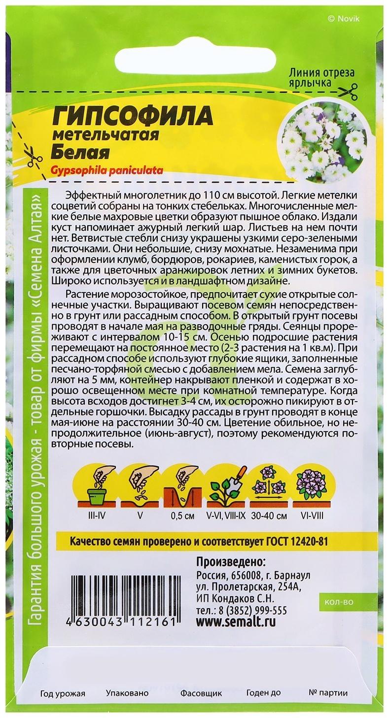 Семена Гипсофила 