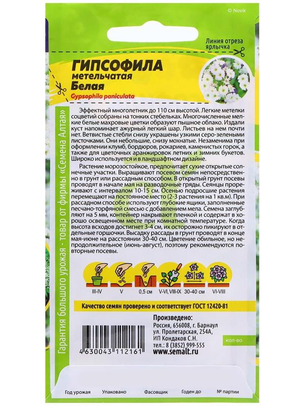 Семена Гипсофила 