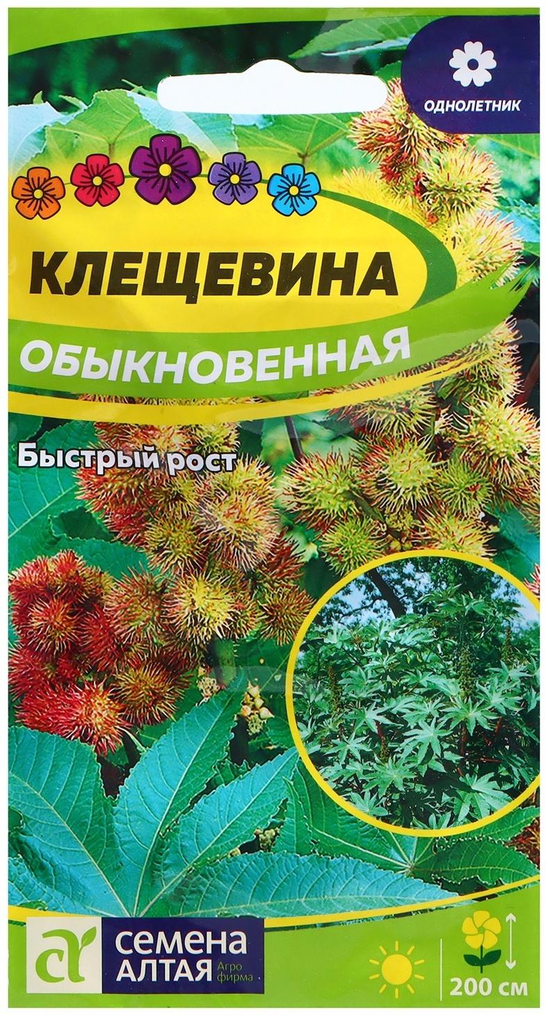 Семена Клещевина 