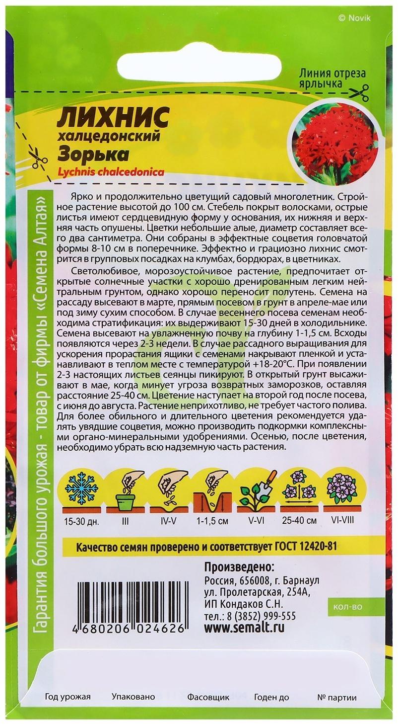 Семена Лихнис 