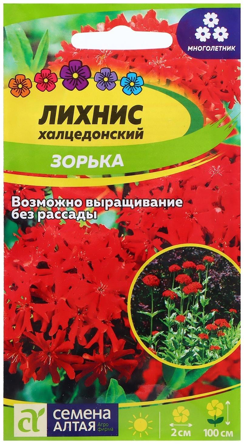 Семена Лихнис 