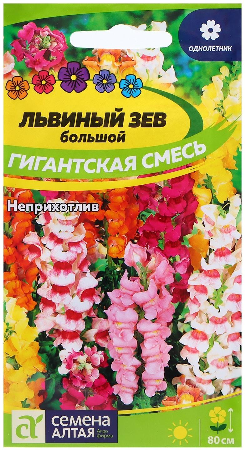 Семена Львиный зев 