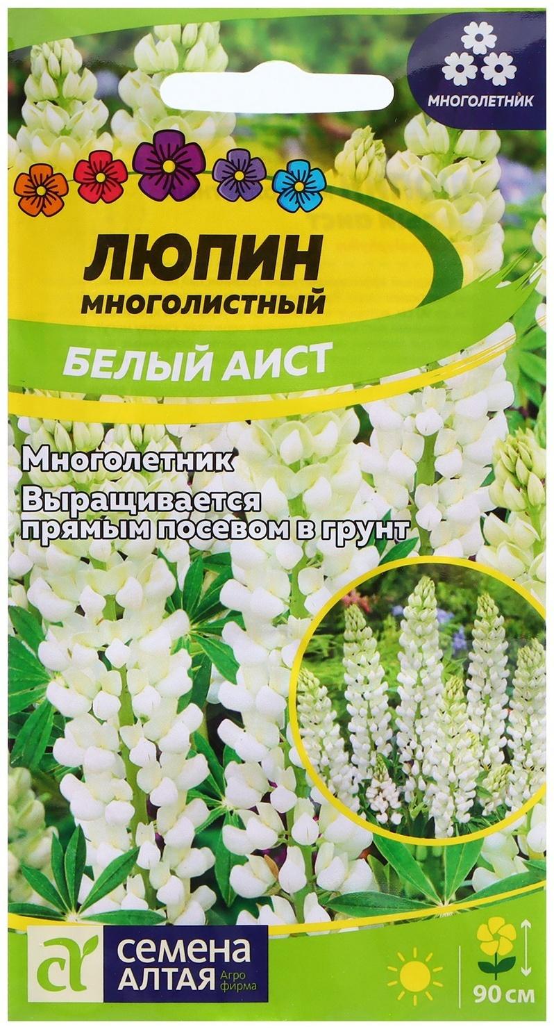 Семена Люпин 