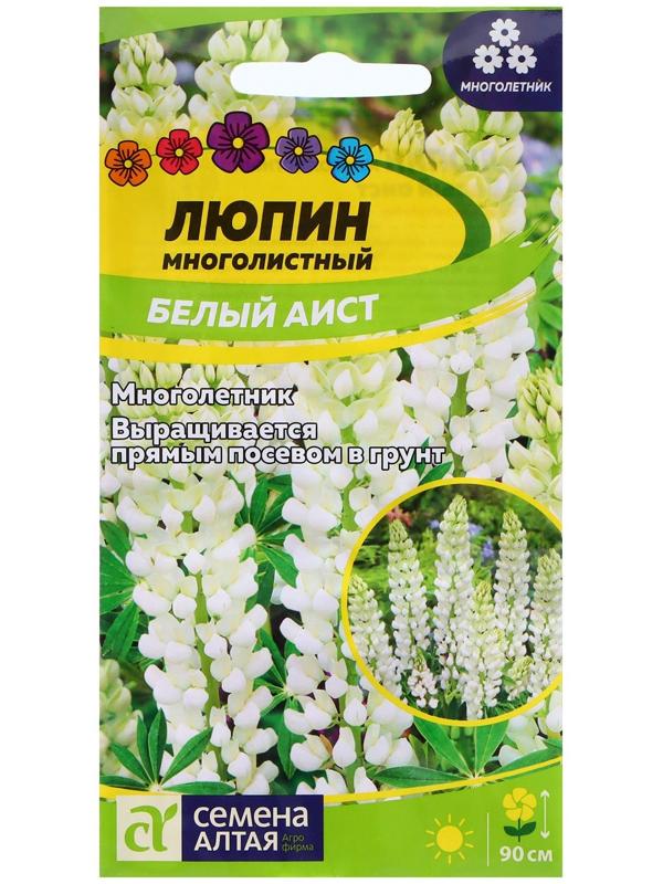 Семена Люпин 