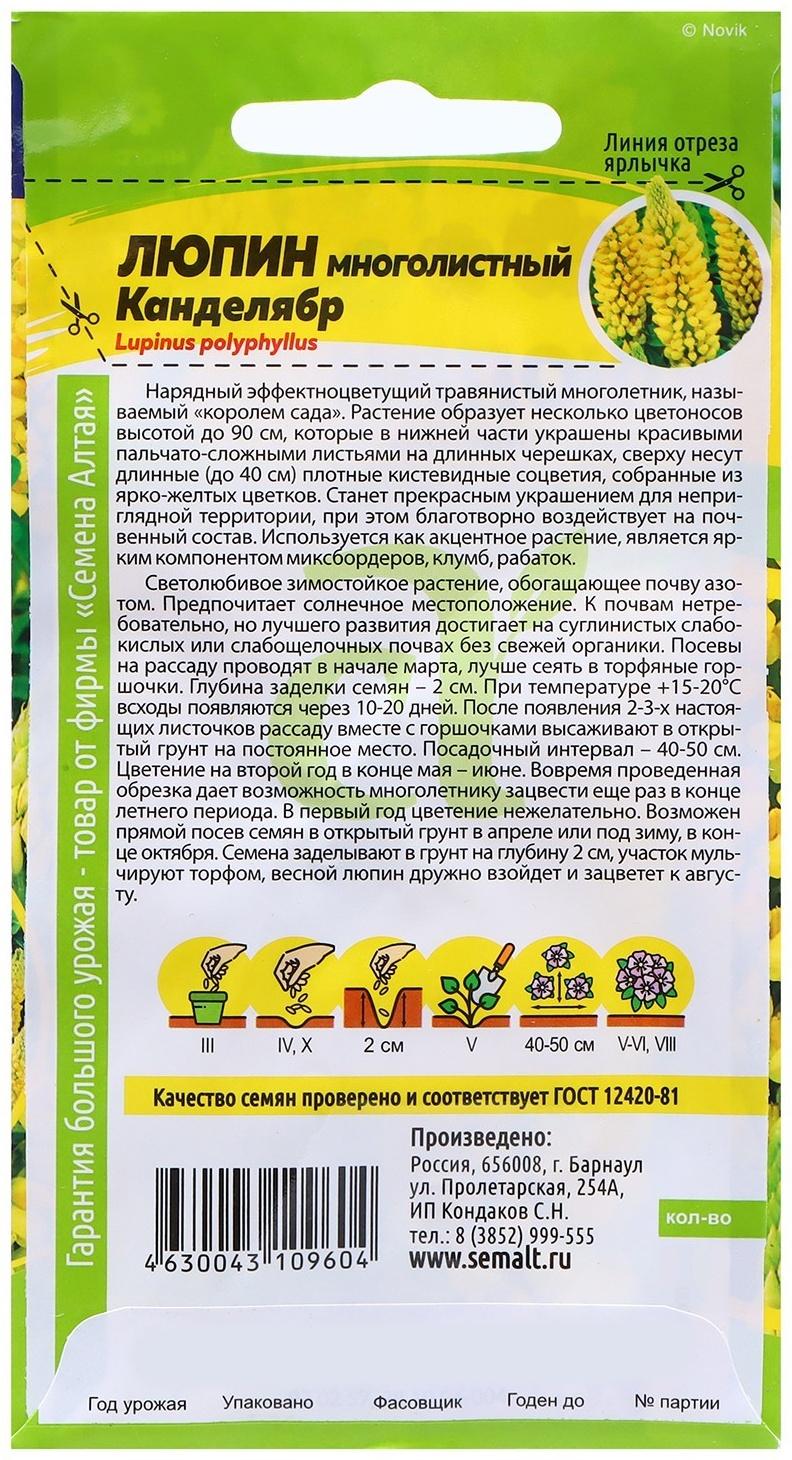 Семена Люпин 