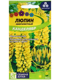 Семена Люпин 