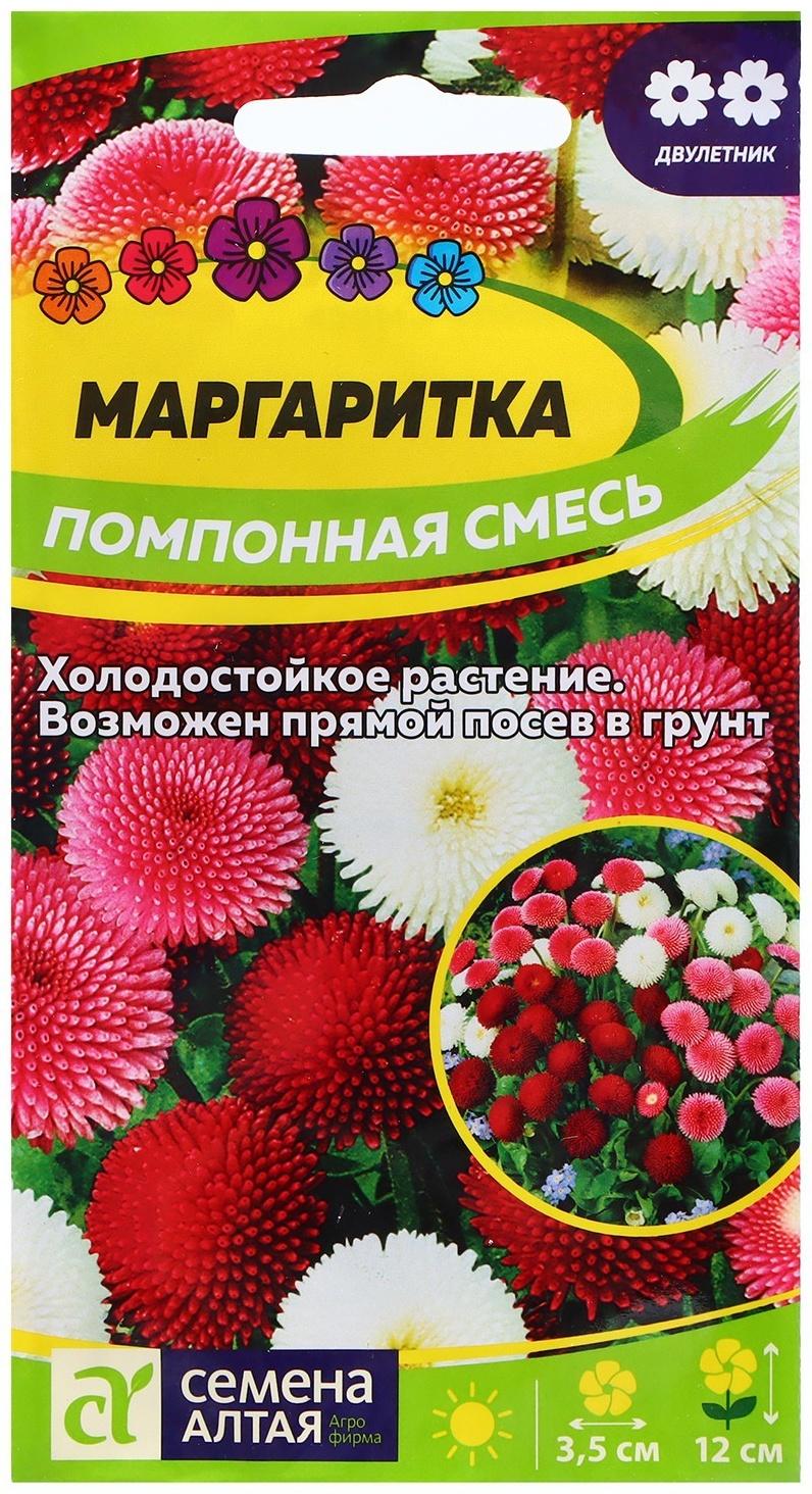 Семена Маргаритка 