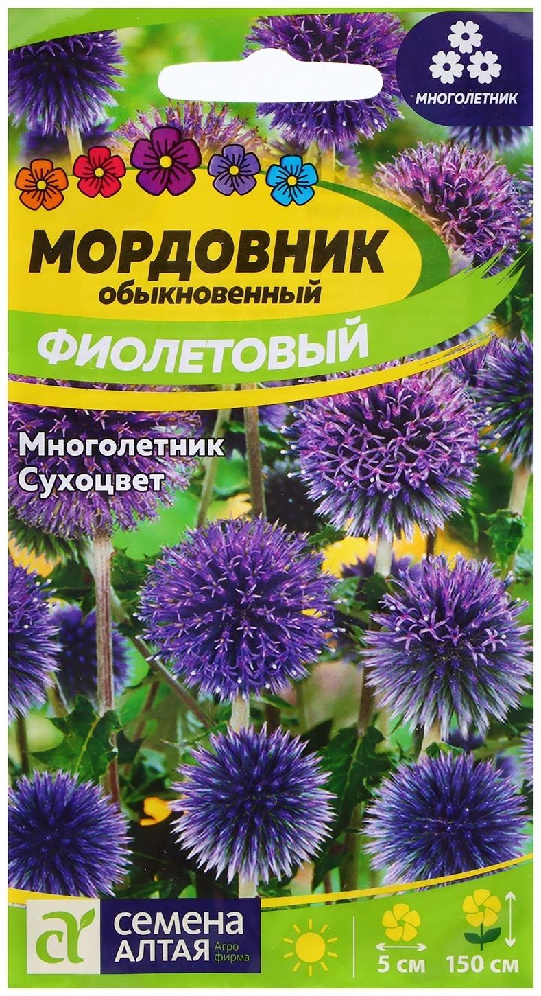 Семена Мордовник 