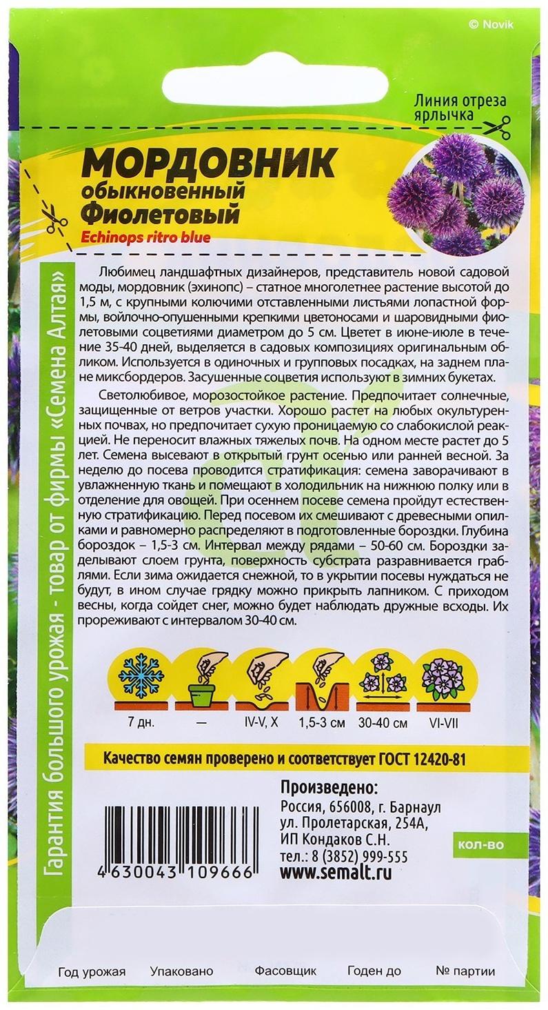 Семена Мордовник 