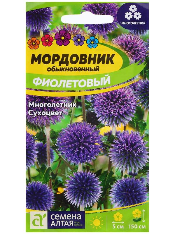 Семена Мордовник 
