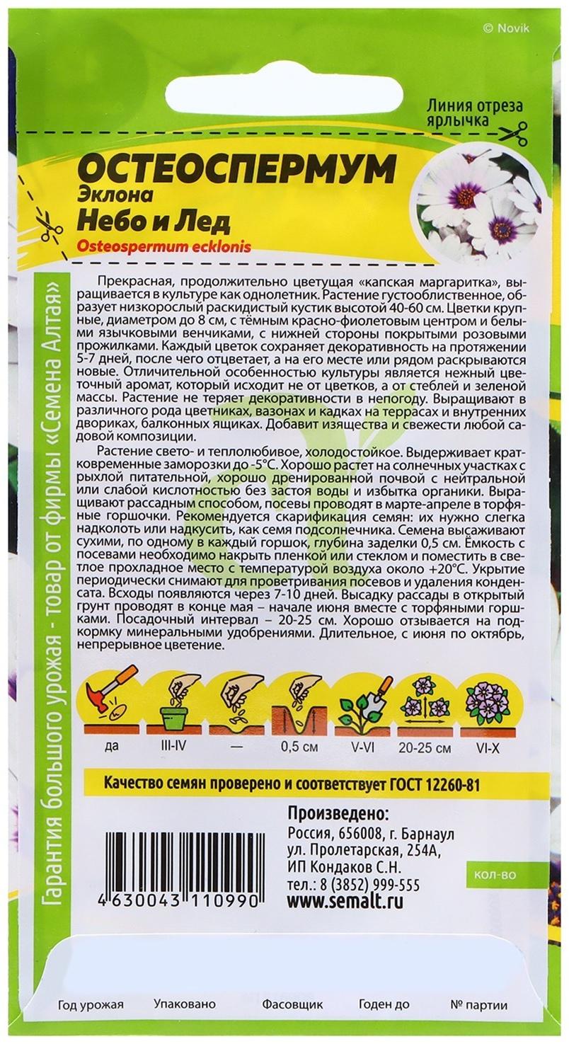 Семена Остеоспермум 