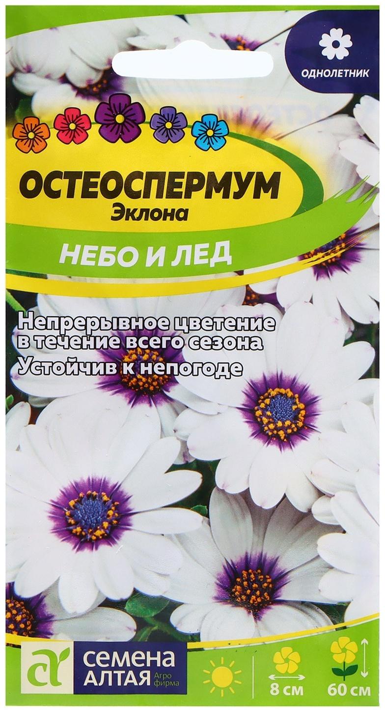 Семена Остеоспермум 