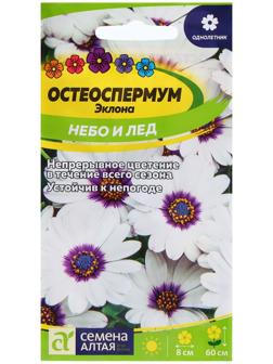 Семена Остеоспермум 