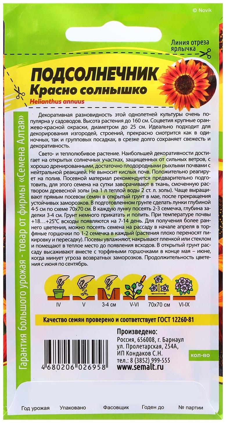 Семена Подсолнечник 