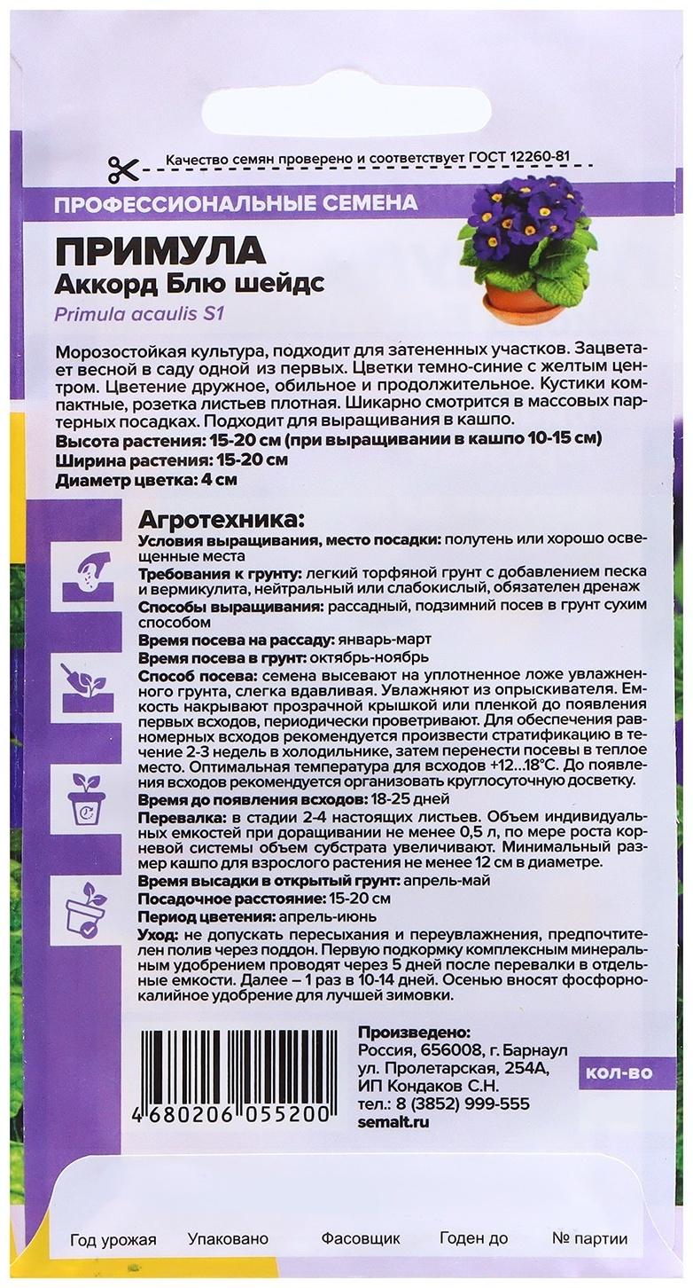 Семена Примула 