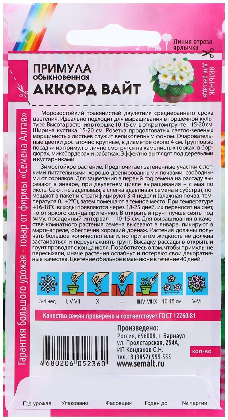 Семена Примула 