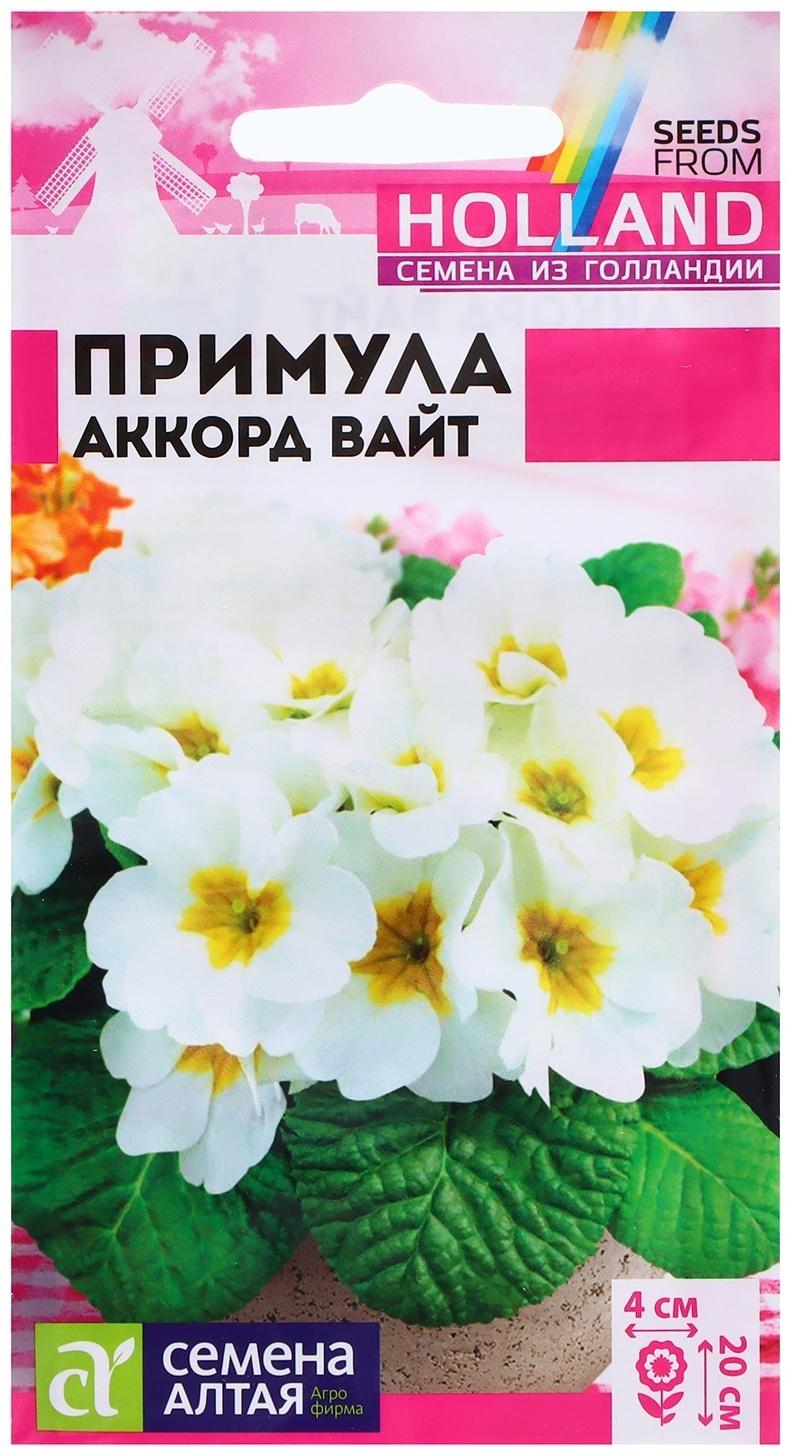 Семена Примула 