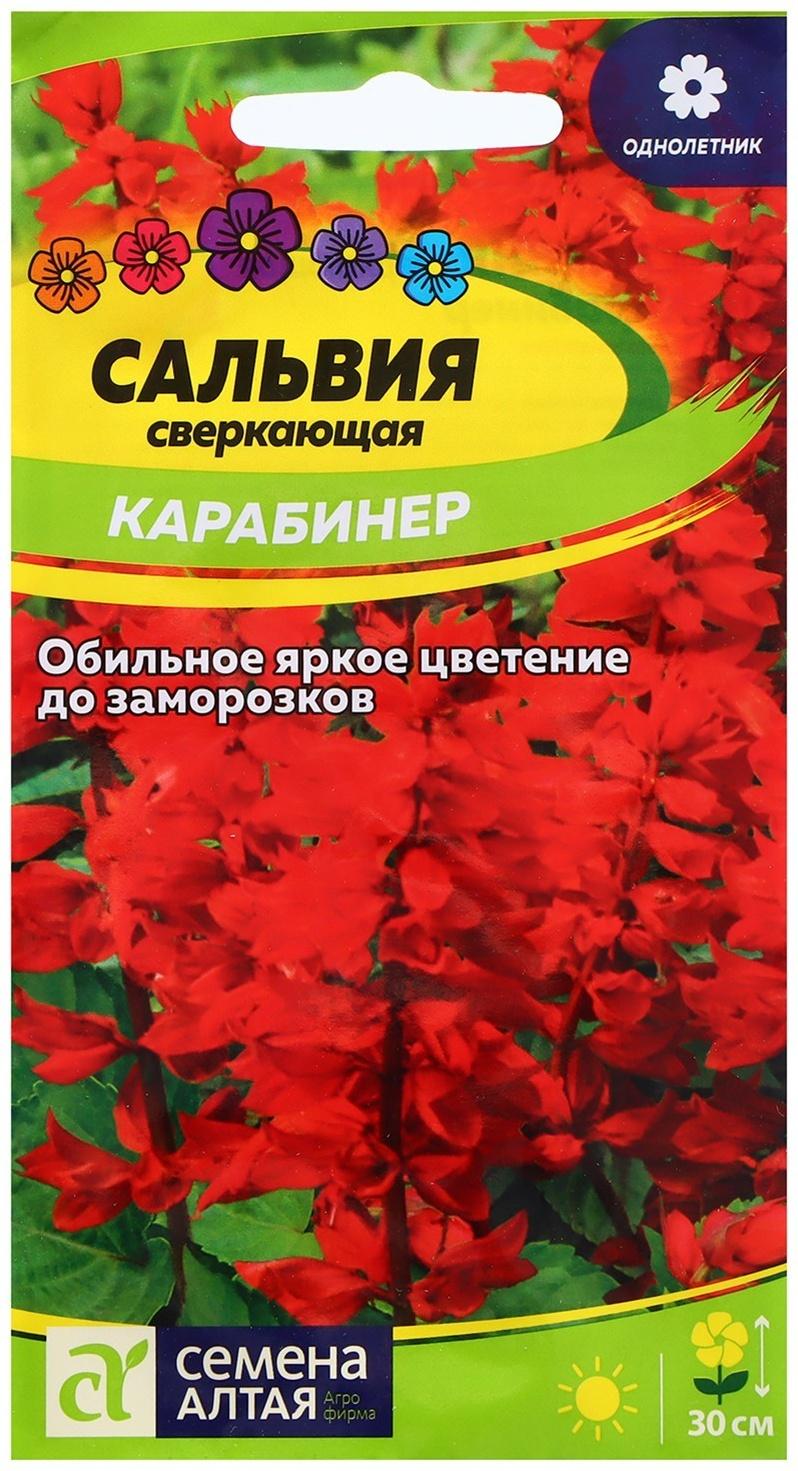 Семена Сальвия 