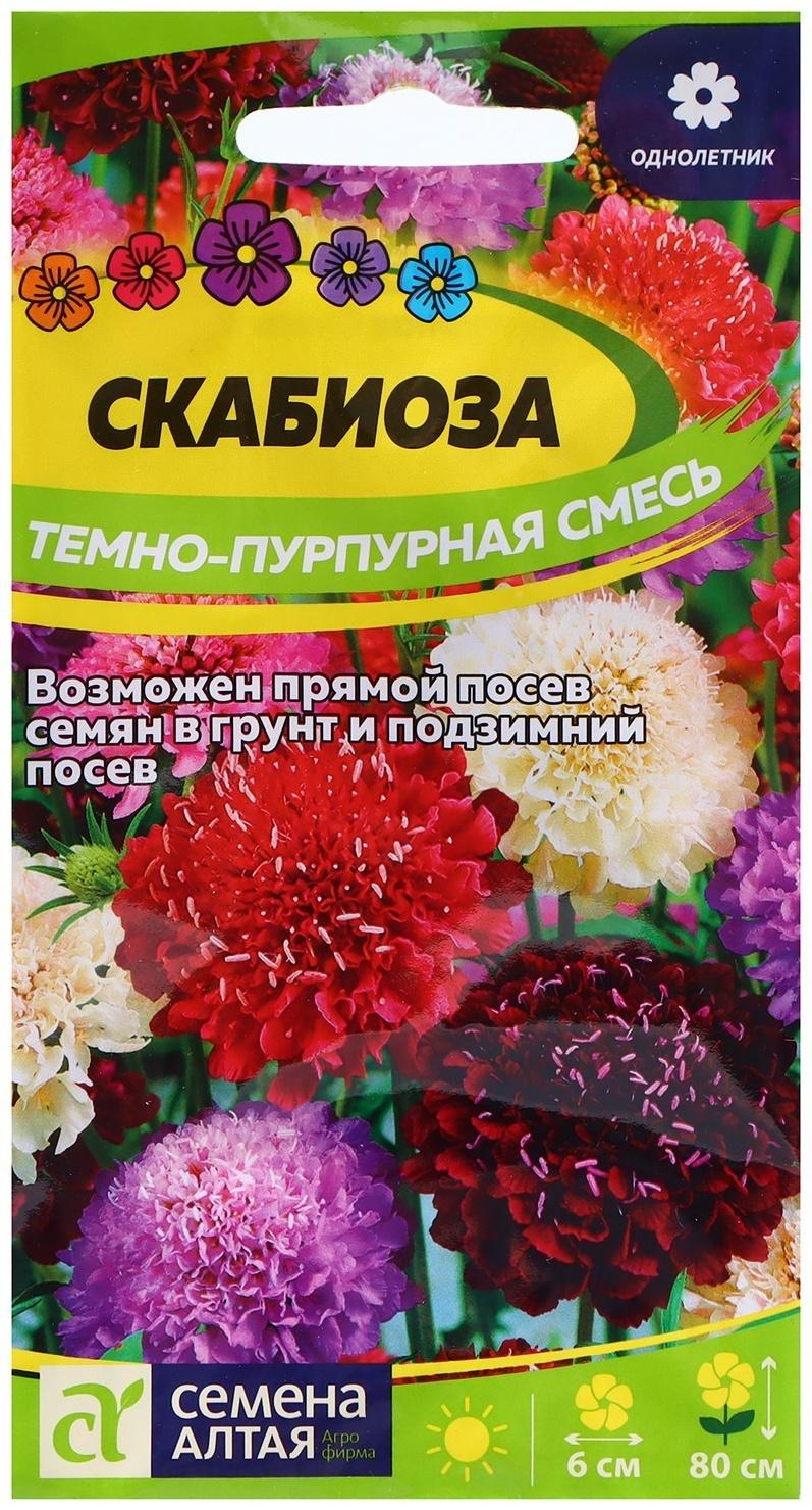 Семена Скабиоза 