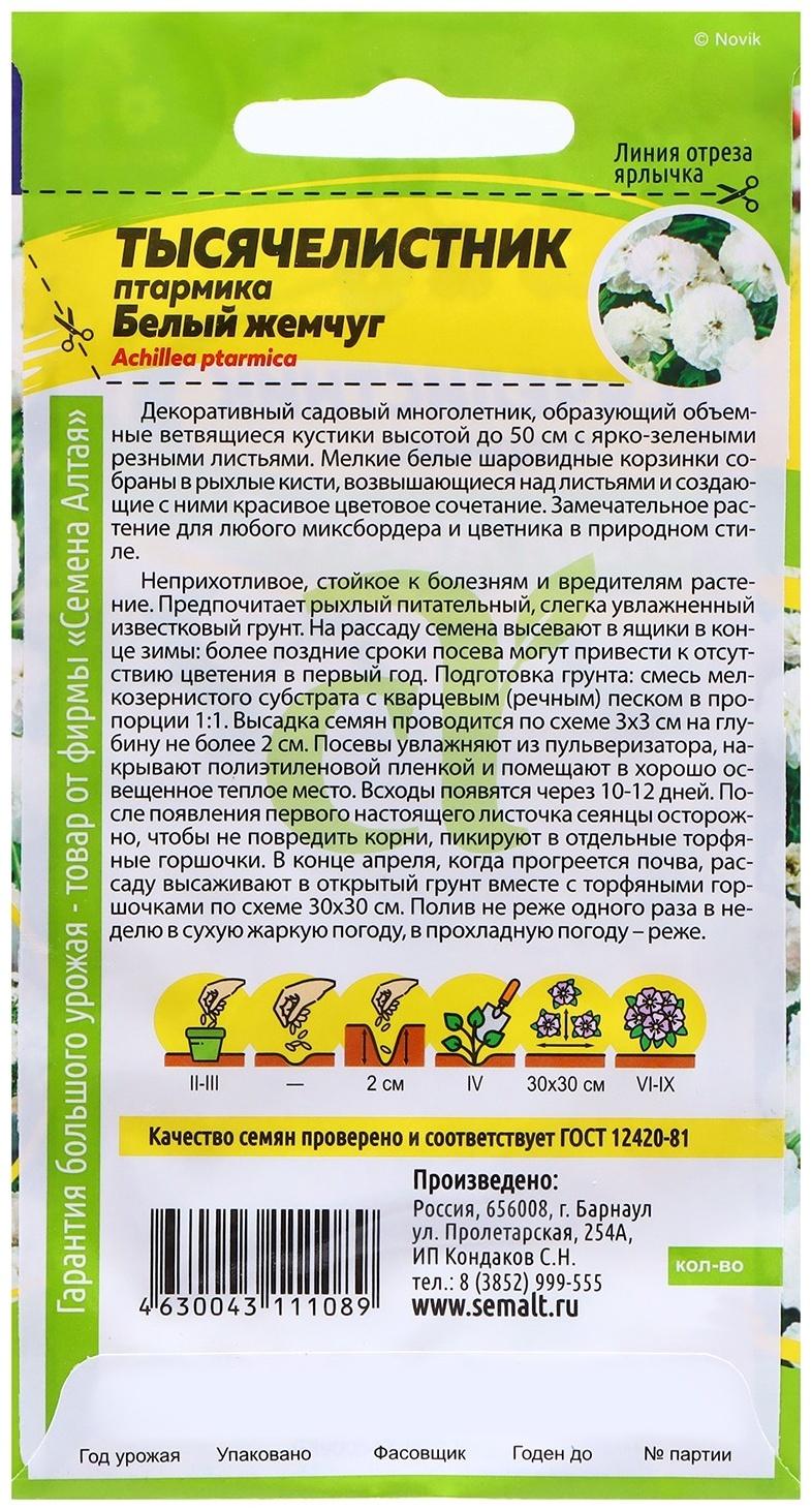 Семена Тысячелистник 