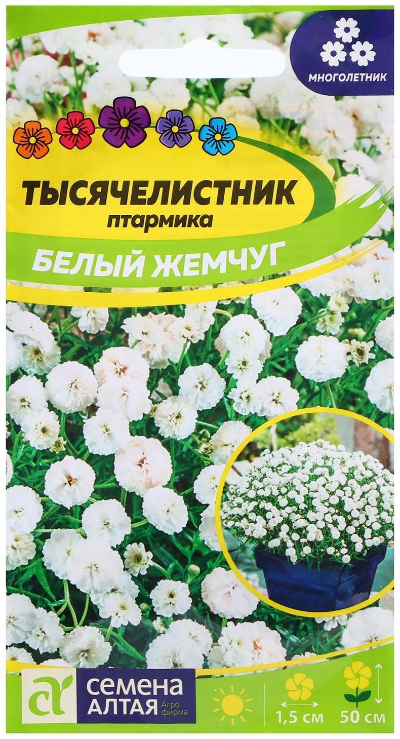 Семена Тысячелистник 