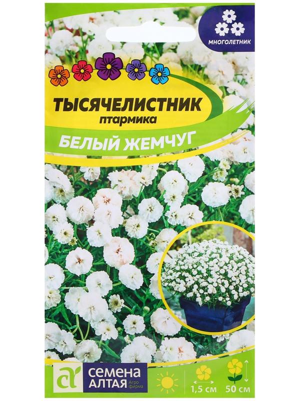 Семена Тысячелистник 