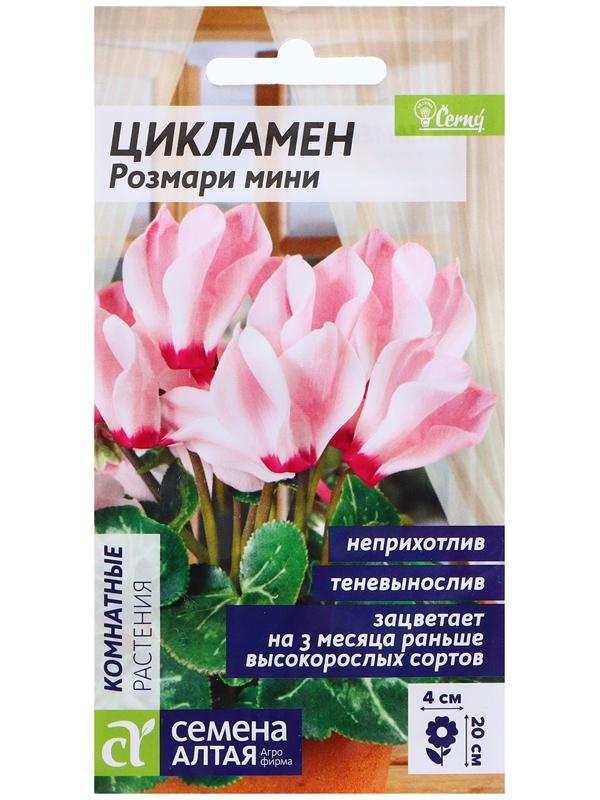 Семена Цикламен 