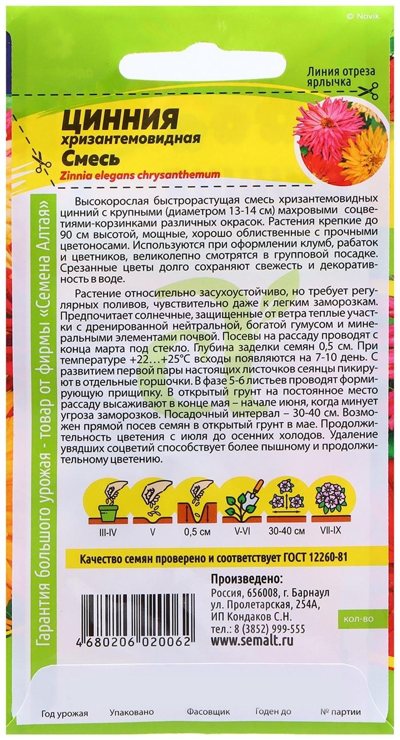 Семена Цинния 