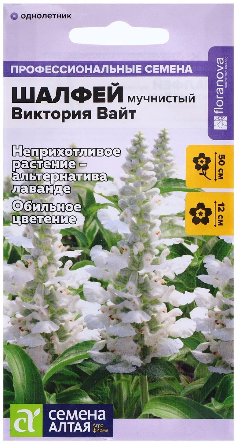 Шалфей Семенами Цена