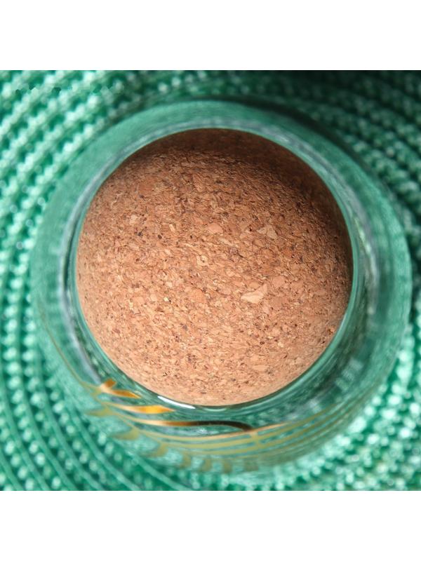 Банка для хранения «Тропики», 500 мл