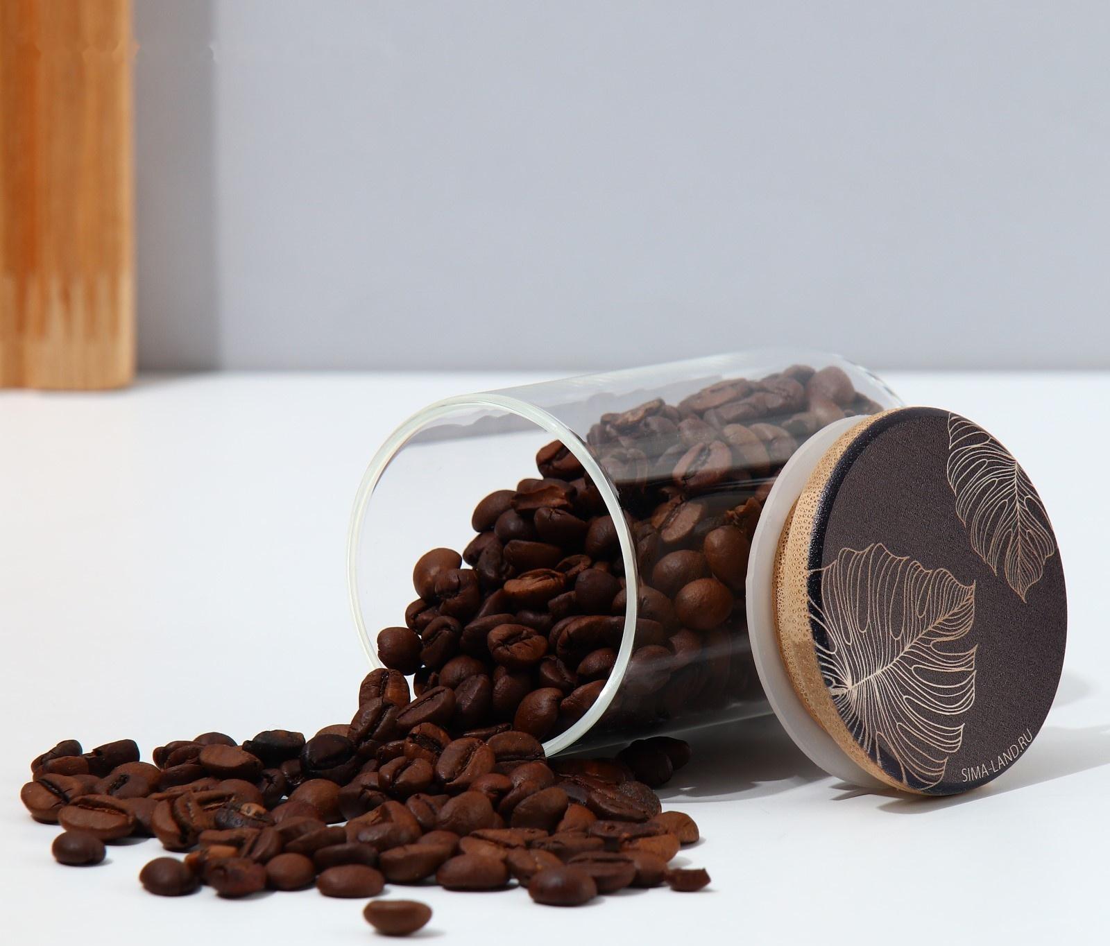 Банка для хранения «Тропики», 100 мл