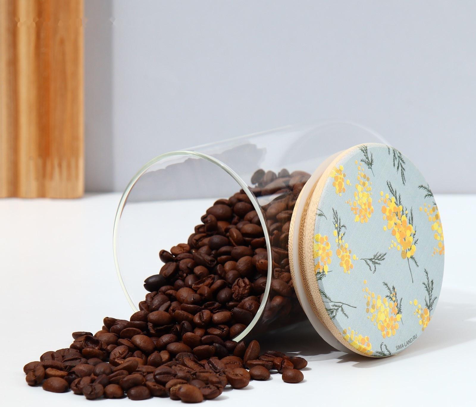 Банка для хранения «Нежная мимоза», 450 мл