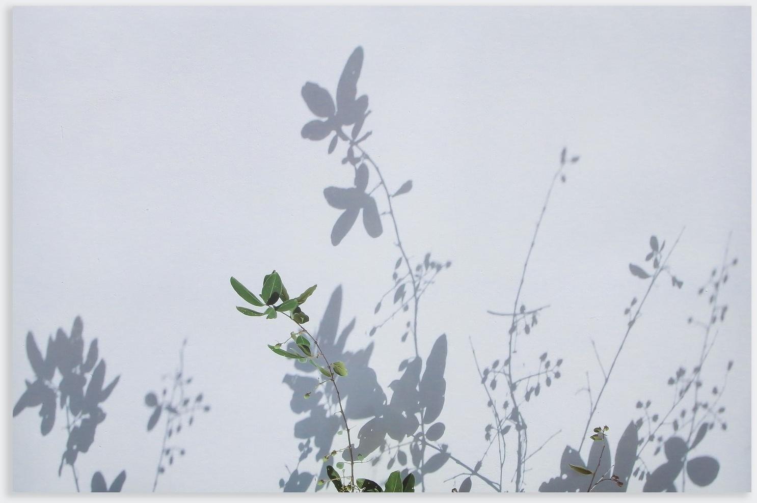 Фотофон двусторонний бумага 300 гр 