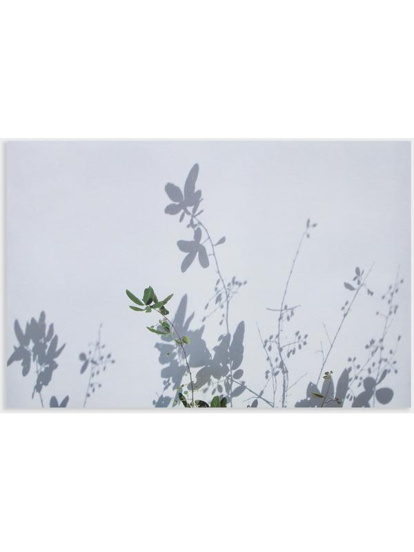 Фотофон двусторонний бумага 300 гр 