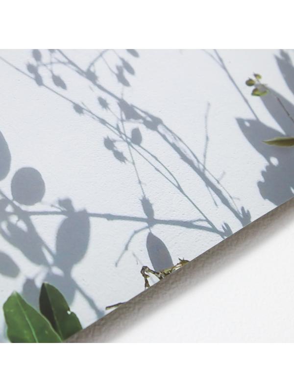 Фотофон двусторонний бумага 300 гр 