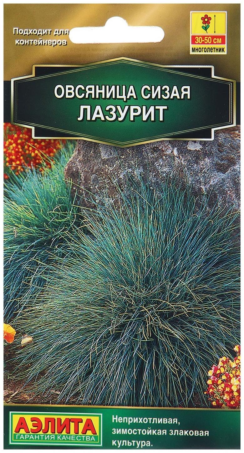 Семена Овсяница сизая Лазурит   Мн Золотая серия Ц/П 5шт