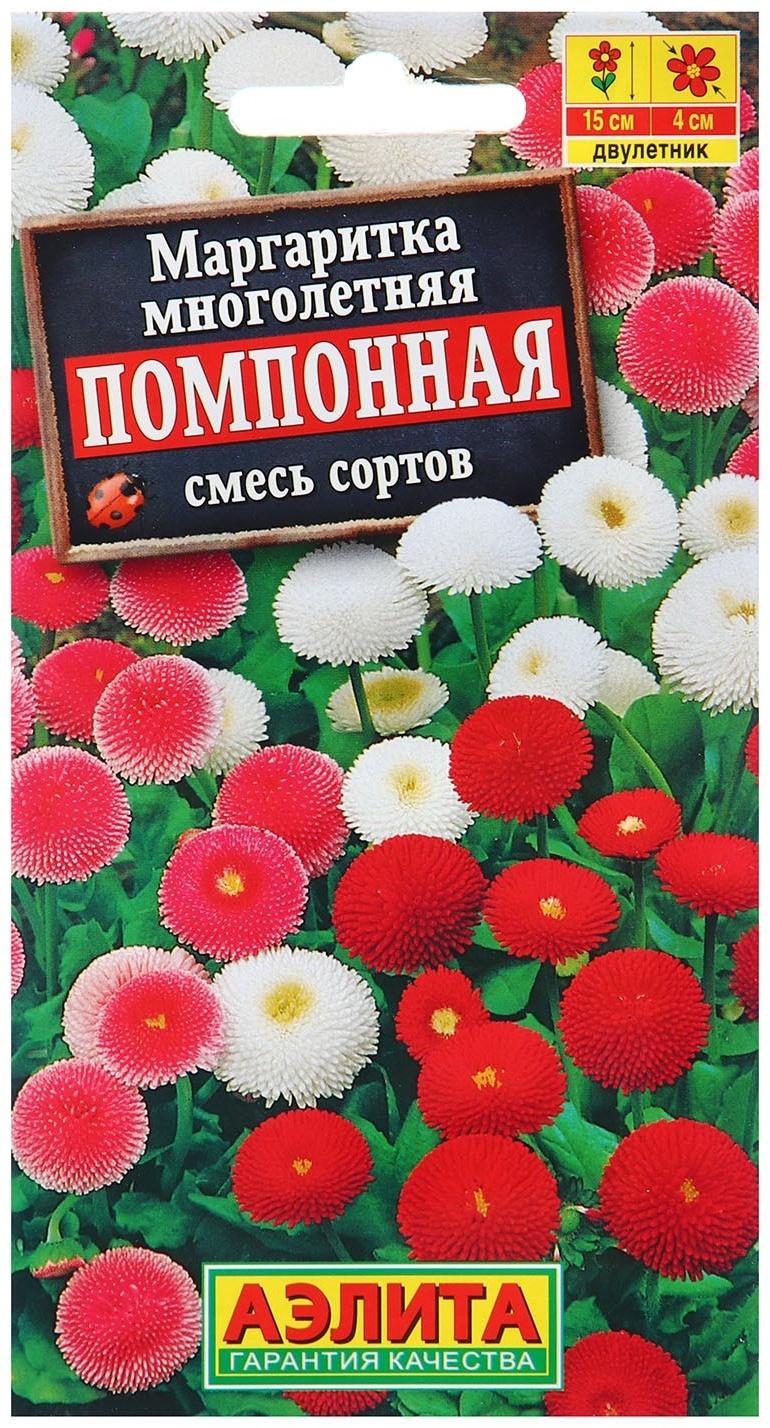 Семена Маргаритка Помпонная, смесь сортов   Дв Ц/П 0,05г