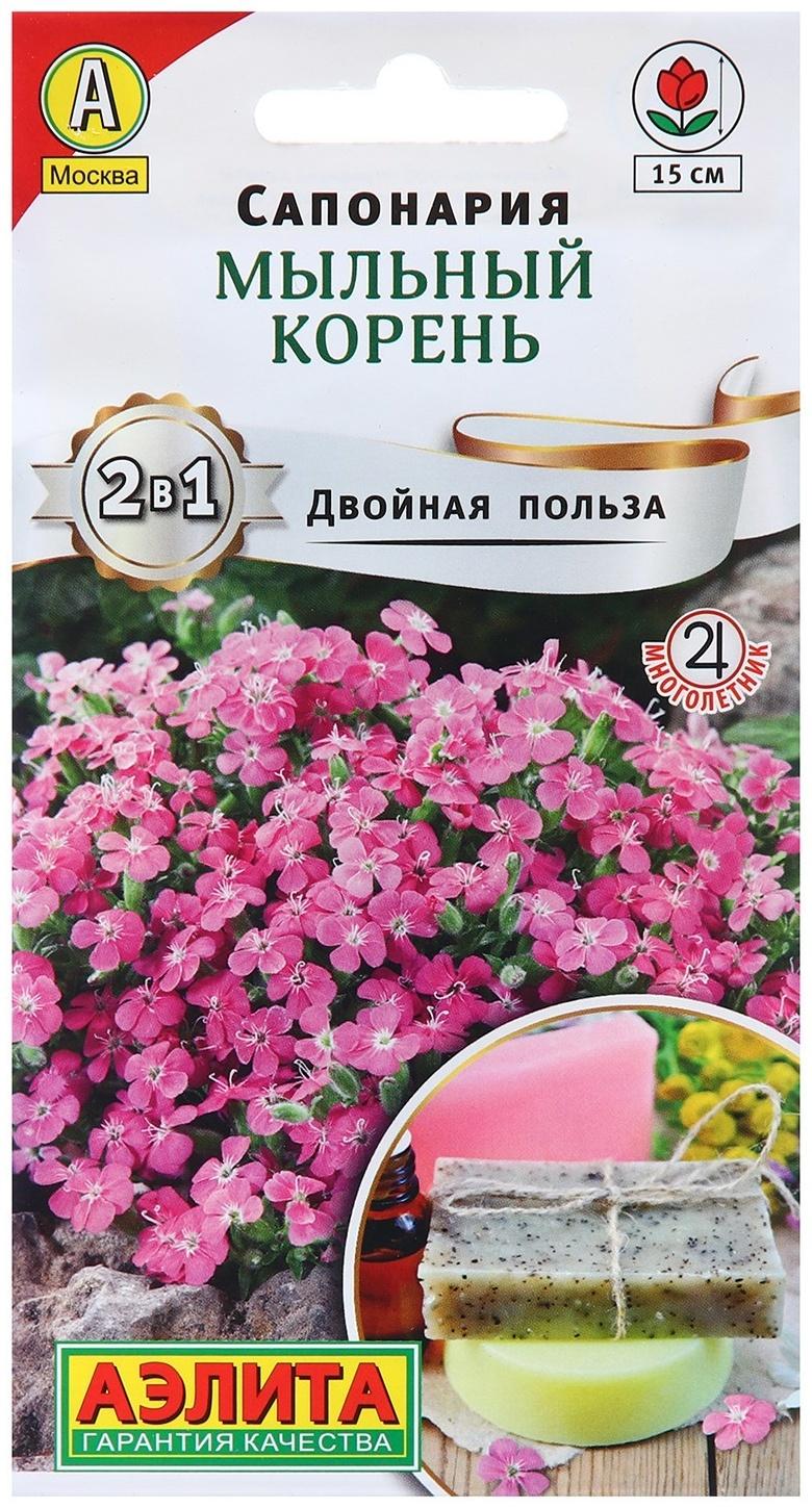Семена Сапонария Мыльный корень   Мн Двойная польза Ц/П 0,1г