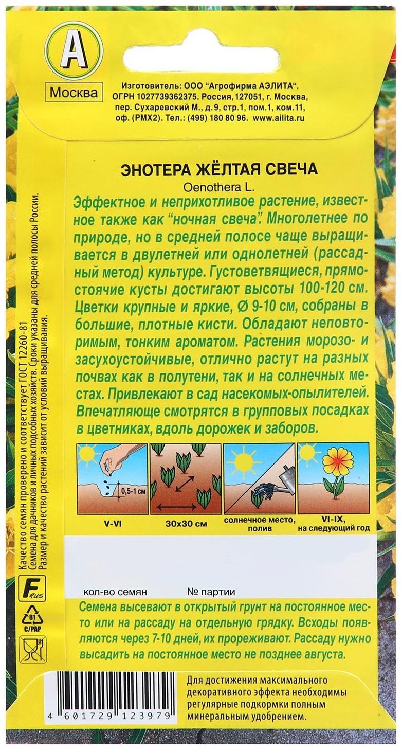 Семена Энотера Желтая свеча   Дв Ц/П 0,2г